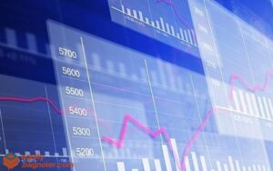 SMART STOCK PORTFOLIO MANAGEMENT